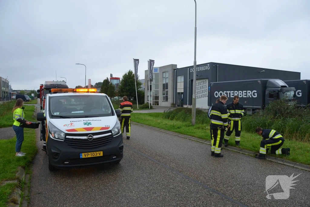 Piter Terpstrawei 112 nieuws Leeuwarden 