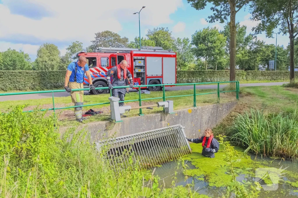 Hoogland
