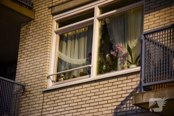 Schoten gelost op woning en winkelpand