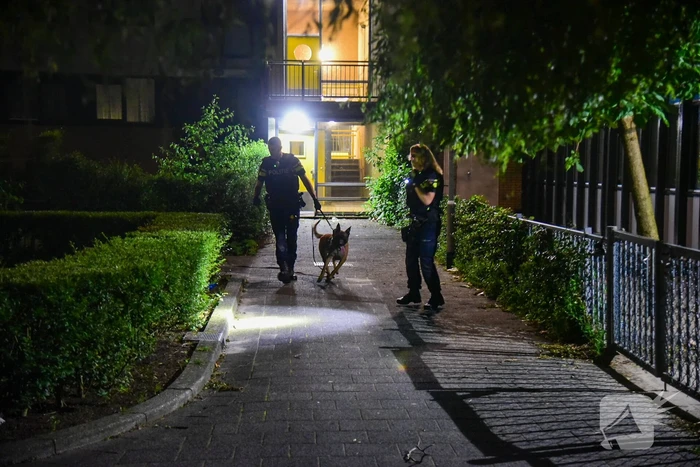 Schoten gelost op woning en winkelpand