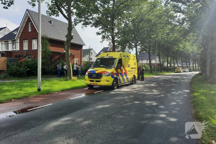 Automobilist rijdt tegen boom