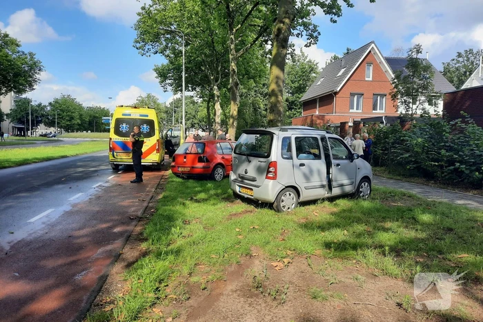 Automobilist rijdt tegen boom