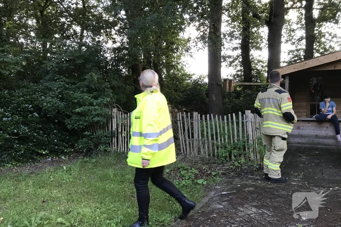 Kitten vast in de boom