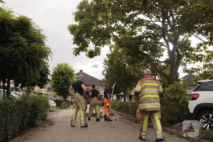 Brandweer verwijdert loshangende tak