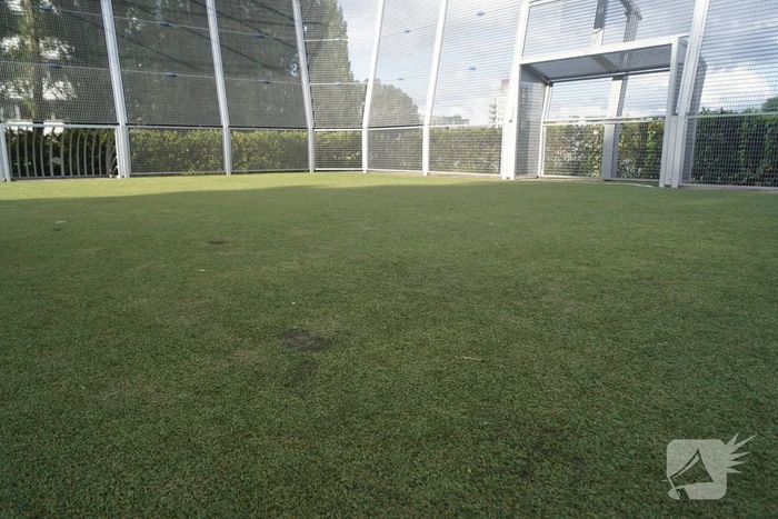 Hakenkruis in kunstgras gebrand van voetbalkooi