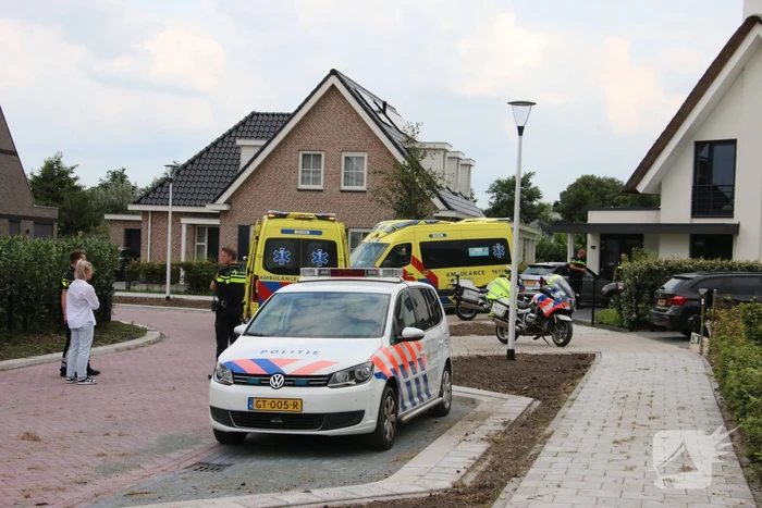 nieuws abeelenpark noordwijkerhout