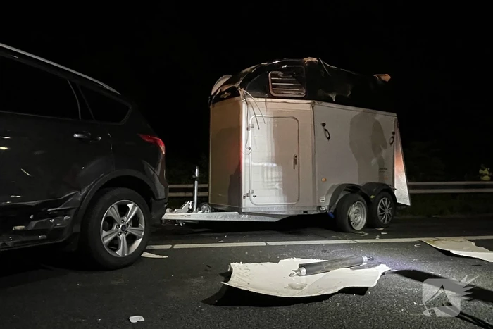 Paard ontsnapt op snelweg na ongeval