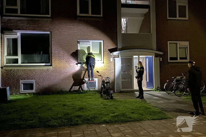 Kat vast tussen raam