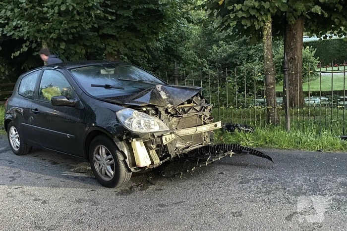Auto raakt van de weg botst op boom