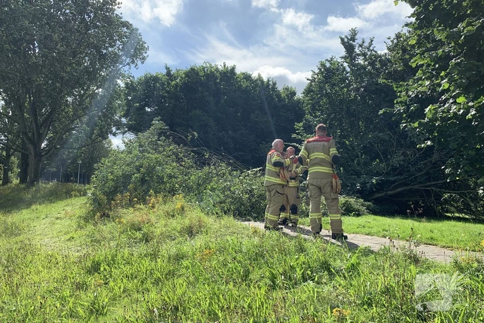 Brandweer zaagt omgevallen boom in stukken