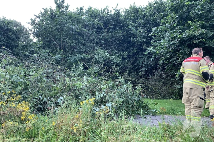 Brandweer zaagt omgevallen boom in stukken