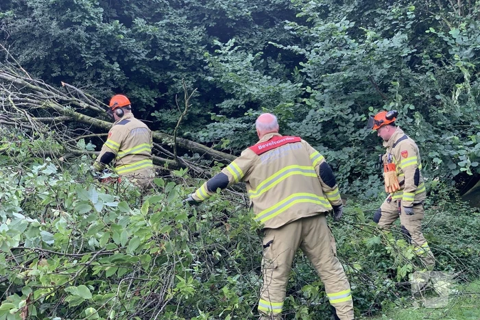 Brandweer zaagt omgevallen boom in stukken