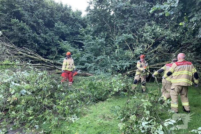 Brandweer zaagt omgevallen boom in stukken
