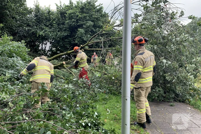 Brandweer zaagt omgevallen boom in stukken
