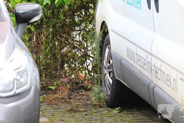 Vlammen onkruidbrander slaat over naar geparkeerde bestelbus