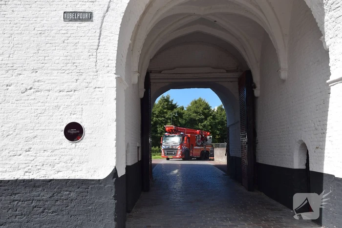 Duif vast achter net in Nobelpoort