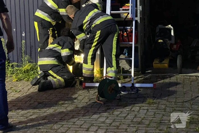 Kat vast tussen twee garageboxen