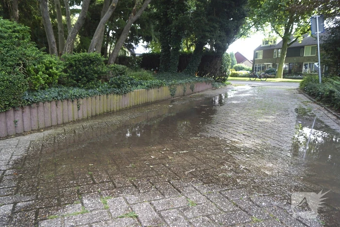 Afzetting wegens verzakkingsgevaar wordt genegeerd