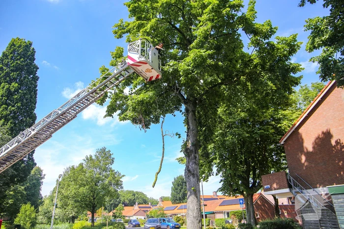 Brandweer verwijdert gevaarlijk hangende takken