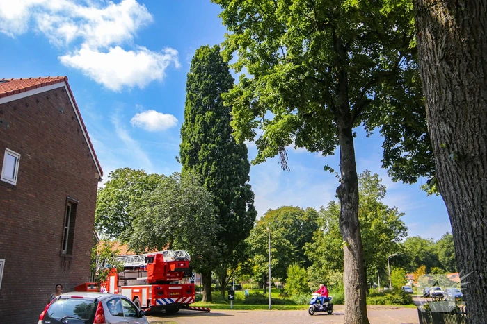 Brandweer verwijdert gevaarlijk hangende takken