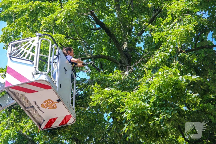 Brandweer verwijdert gevaarlijk hangende takken