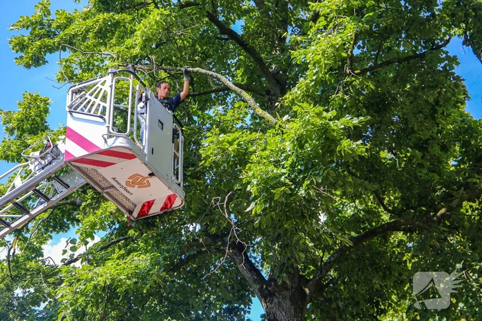 Brandweer verwijdert gevaarlijk hangende takken