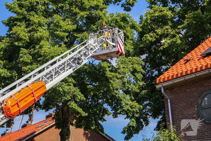 Brandweer verwijdert gevaarlijk hangende takken