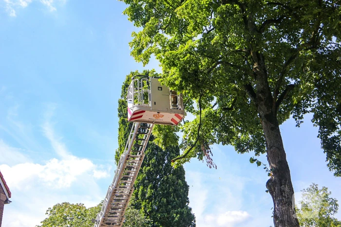 Brandweer verwijdert gevaarlijk hangende takken
