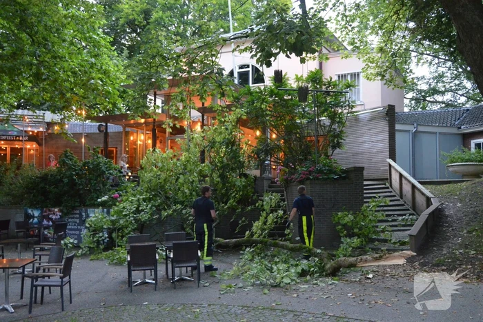 Grote tak breekt af en valt op terras