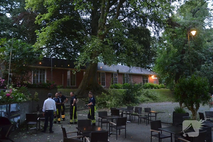 Grote tak breekt af en valt op terras