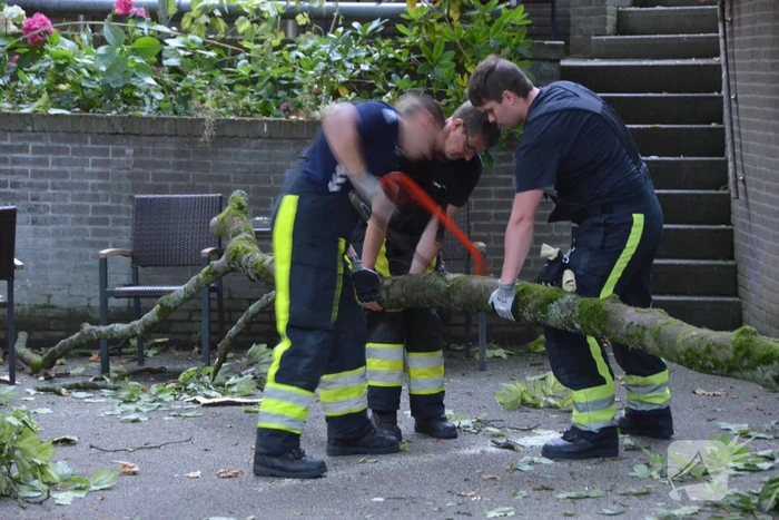 Grote tak breekt af en valt op terras