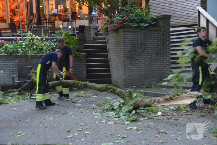 Grote tak breekt af en valt op terras