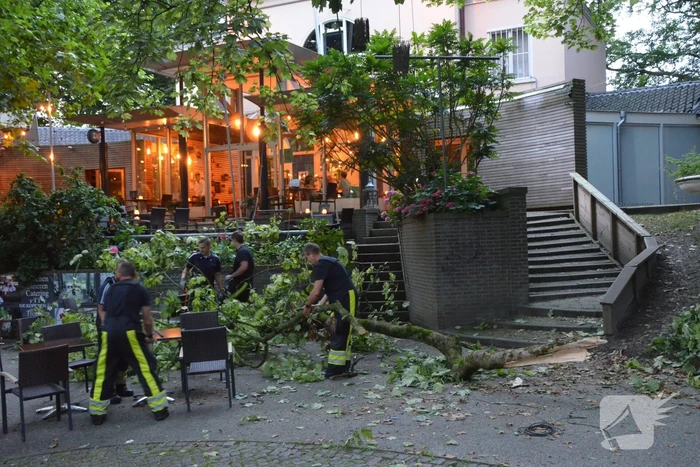 Grote tak breekt af en valt op terras