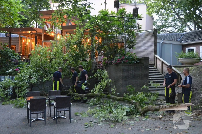 Grote tak breekt af en valt op terras