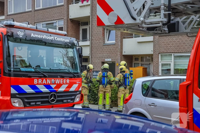 Huisdieren gered bij flinke brand in flatgebouw