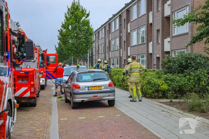 Huisdieren gered bij flinke brand in flatgebouw
