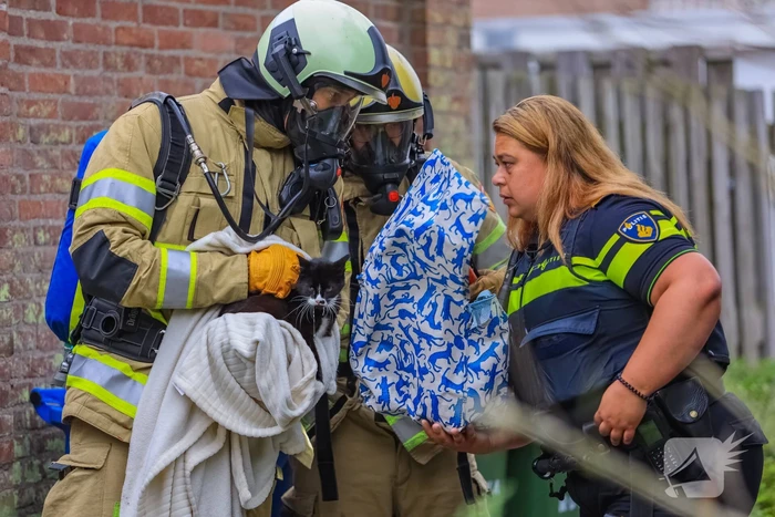 Huisdieren gered bij flinke brand in flatgebouw