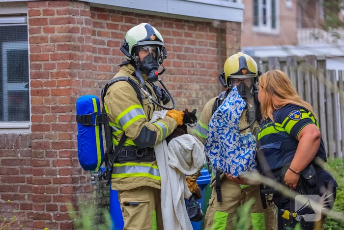 Huisdieren gered bij flinke brand in flatgebouw