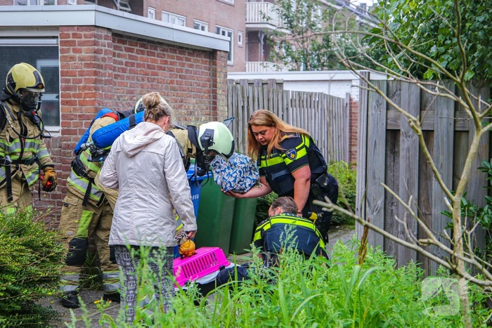 Huisdieren gered bij flinke brand in flatgebouw