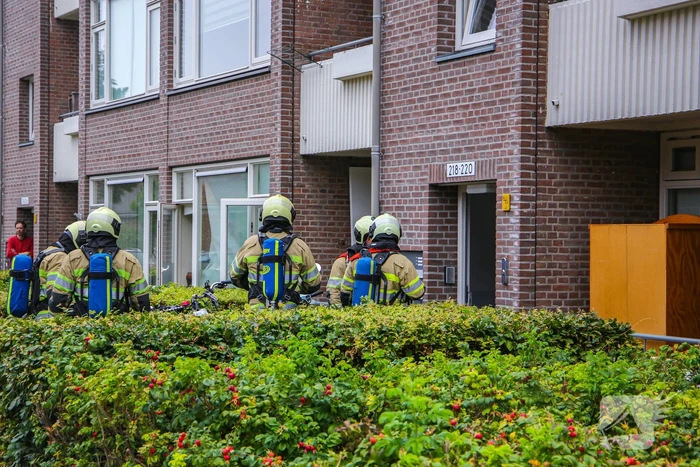 Huisdieren gered bij flinke brand in flatgebouw