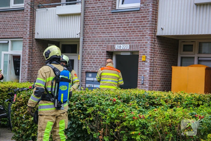 Huisdieren gered bij flinke brand in flatgebouw
