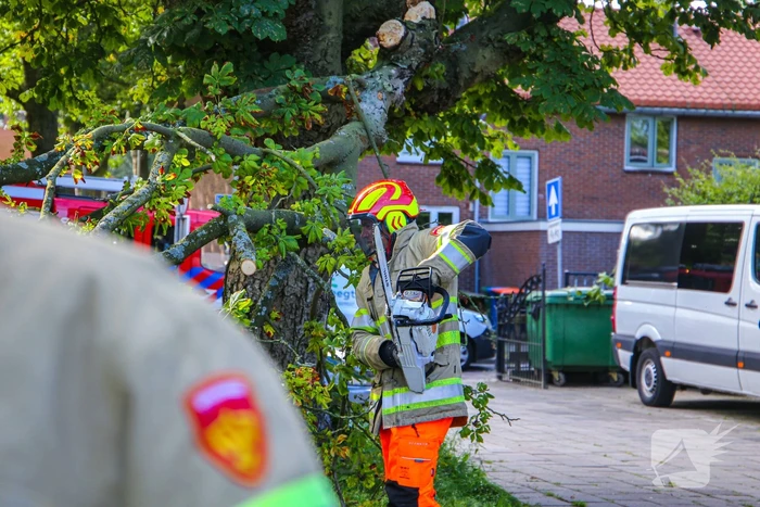 Grote tak breekt af en beschadigt personenwagen