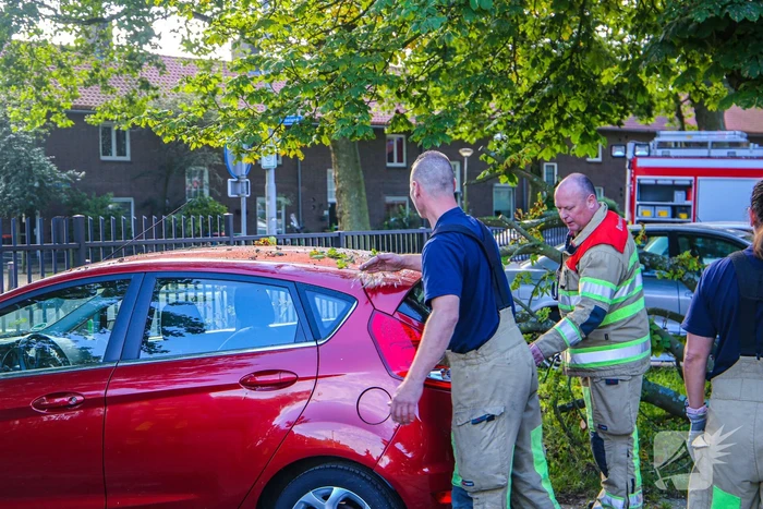 Grote tak breekt af en beschadigt personenwagen