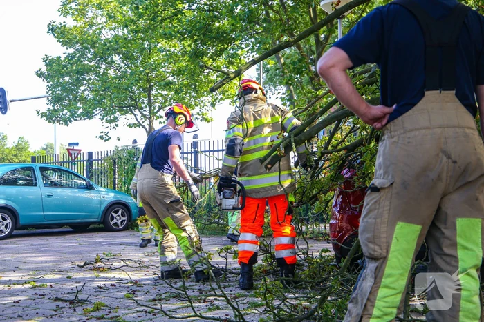 Grote tak breekt af en beschadigt personenwagen