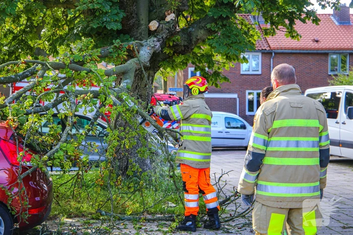 Grote tak breekt af en beschadigt personenwagen