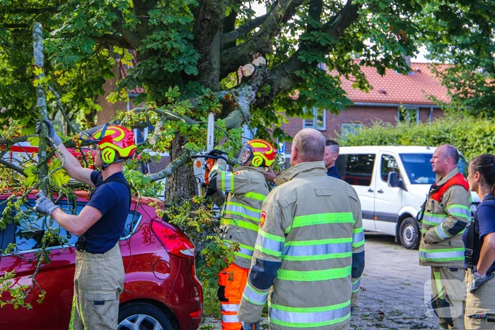 Grote tak breekt af en beschadigt personenwagen