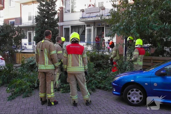Tak breekt af en valt op auto