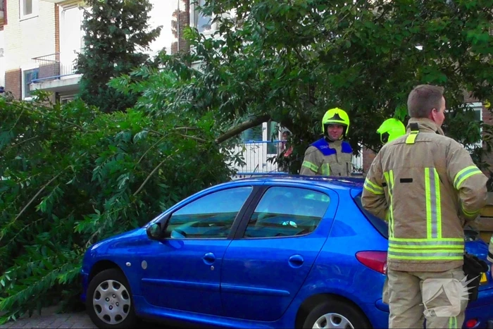 Tak breekt af en valt op auto