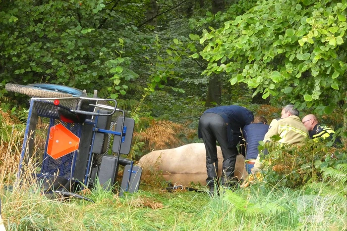 Paard schrikt en vliegt met kar over de kop