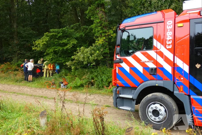 Paard schrikt en vliegt met kar over de kop
